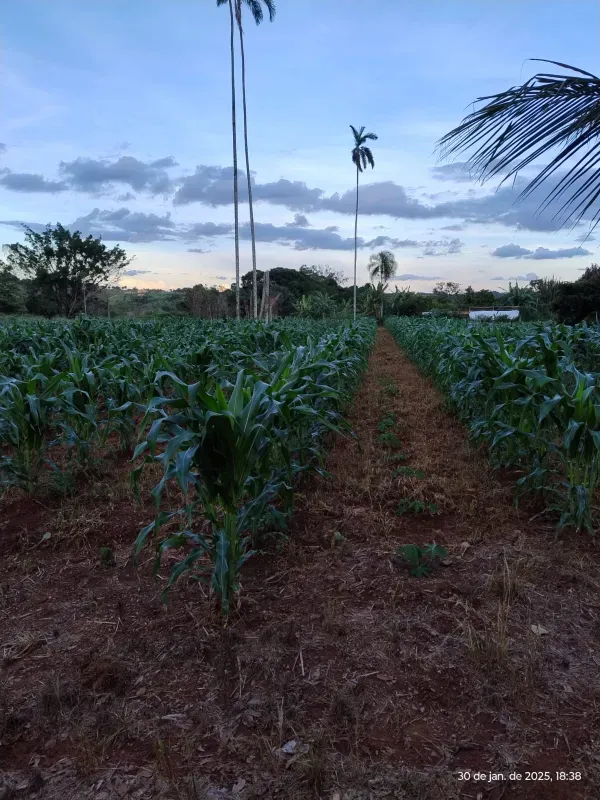 Chácara em Abadia de Goiás/Goiás — Ref 5X6MBG — Imagem 4