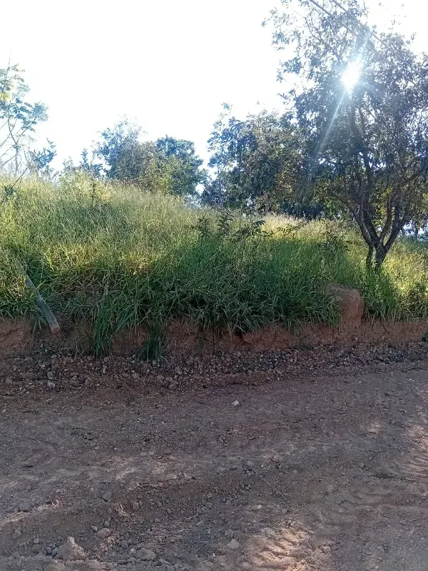 Chácara em Santana do Riacho/Minas Gerais — Ref I71FG7 — Imagem 7