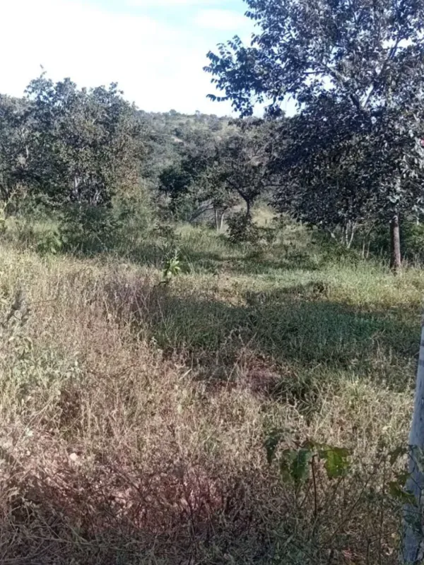 Chácara em Santana do Riacho/Minas Gerais — Ref I71FG7 — Imagem 2