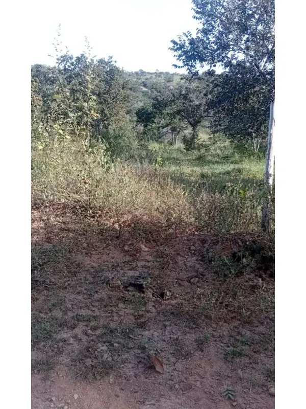 Chácara em Santana do Riacho/Minas Gerais — Ref I71FG7 — Imagem 4