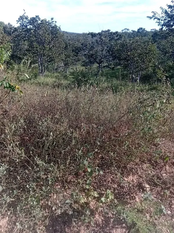 Chácara em Santana do Riacho/Minas Gerais — Ref I71FG7 — Imagem 5