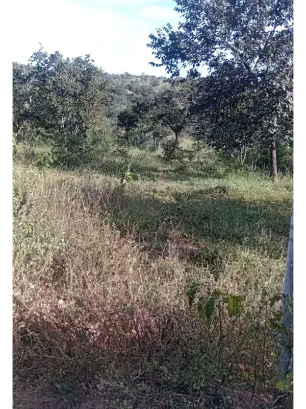 Chácara em Santana do Riacho/Minas Gerais — Ref I71FG7 — Imagem 6