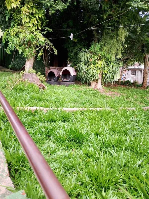 Chácara em Tabaí/Rio Grande do Sul — Ref 7E3J6M — Imagem 5