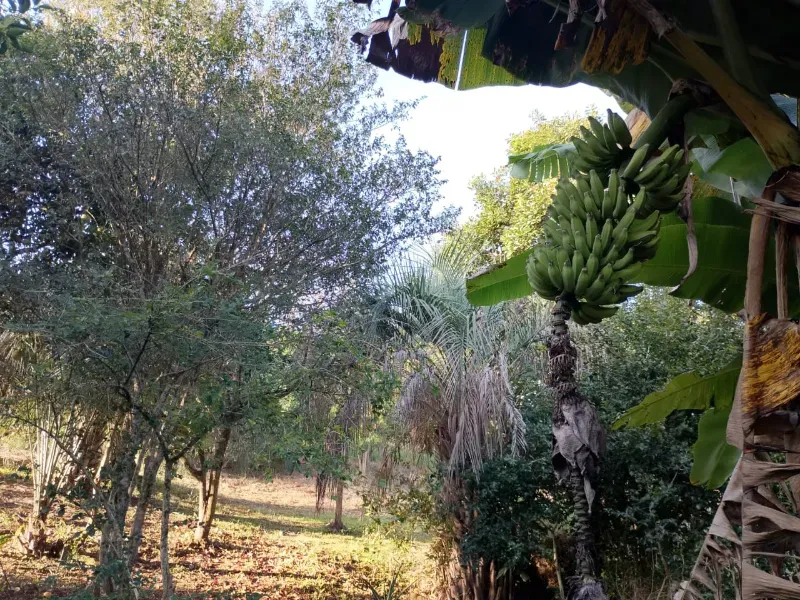 Chácara em Tabaí/Rio Grande do Sul — Ref 7E3J6M — Imagem 12