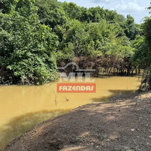 Chãozão - O Maior Portal de Anúncios de Imóveis Rurais do Brasil.