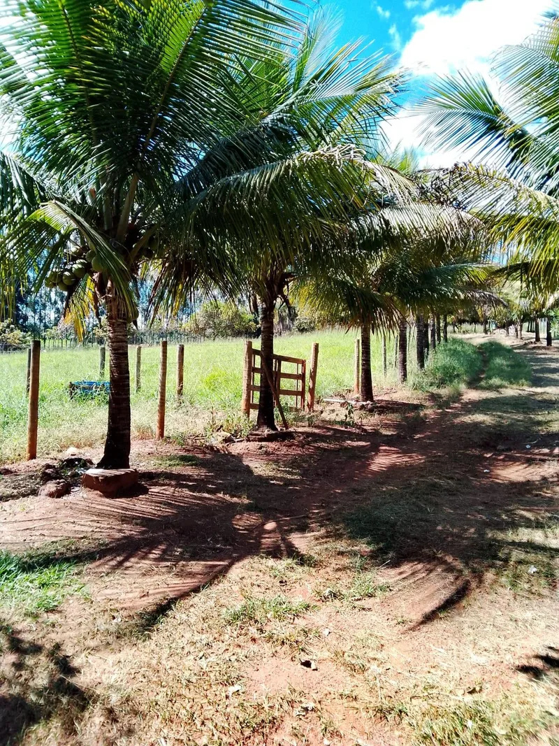 Chãozão - O Maior Portal de Anúncios de Imóveis Rurais do Brasil.