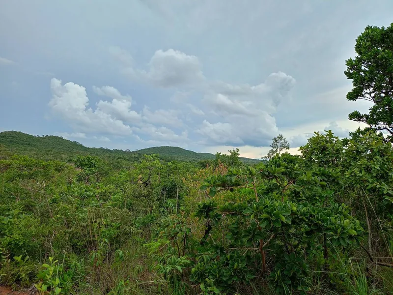 Sítio em Chapada dos Guimarães/Mato Grosso — Ref MM41F6 — Imagem 5