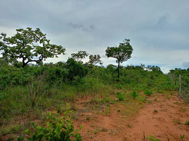 Sítio em Chapada dos Guimarães/Mato Grosso — Ref MM41F6 — Imagem 7