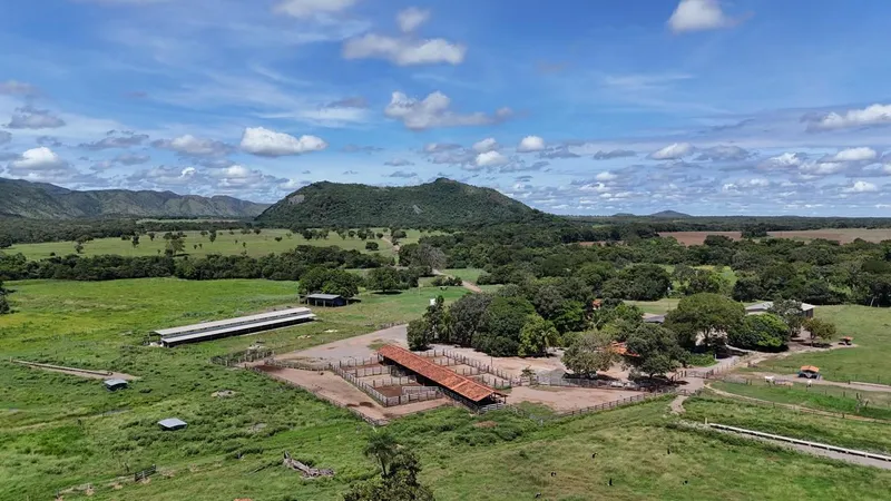 Chãozão - O Maior Portal de Anúncios de Imóveis Rurais do Brasil.