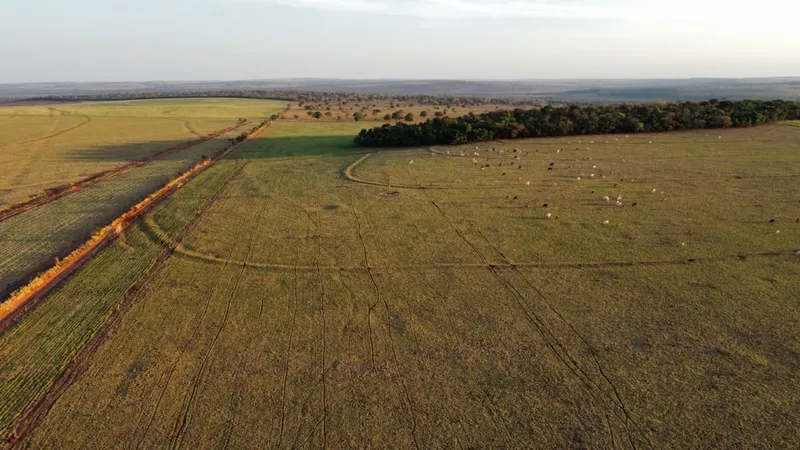 Fazenda em Costa Rica/Mato Grosso do Sul — Ref ZJ6GC4 — Imagem 6