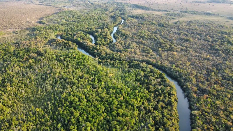 Fazenda em Costa Rica/Mato Grosso do Sul — Ref ZJ6GC4 — Imagem 5