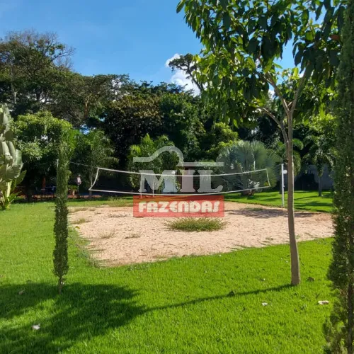 Chãozão - O Maior Portal de Anúncios de Imóveis Rurais do Brasil.