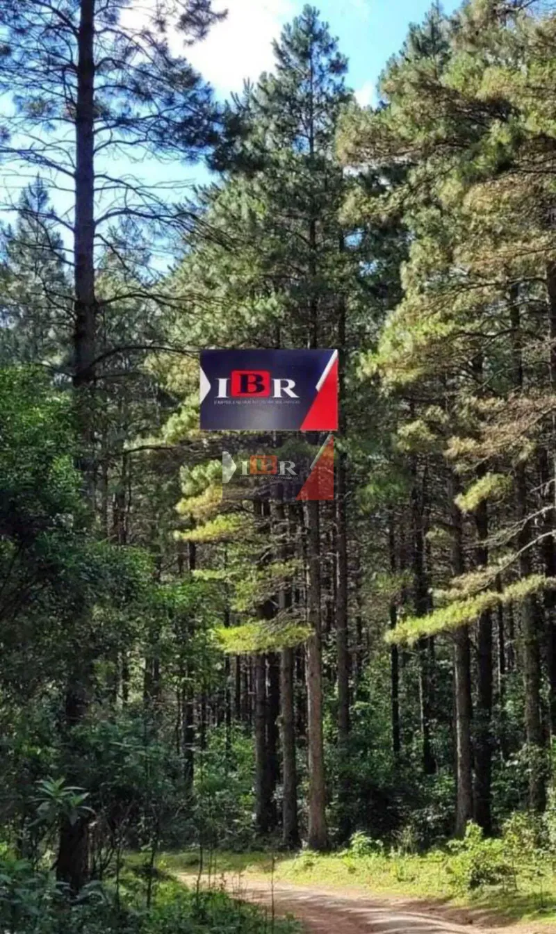 Fazenda em Grão-Pará/Santa Catarina — Ref 85VWJX — Imagem 3