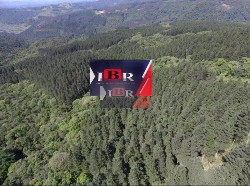 Fazenda em Grão-Pará/Santa Catarina — Ref 85VWJX — Imagem 5