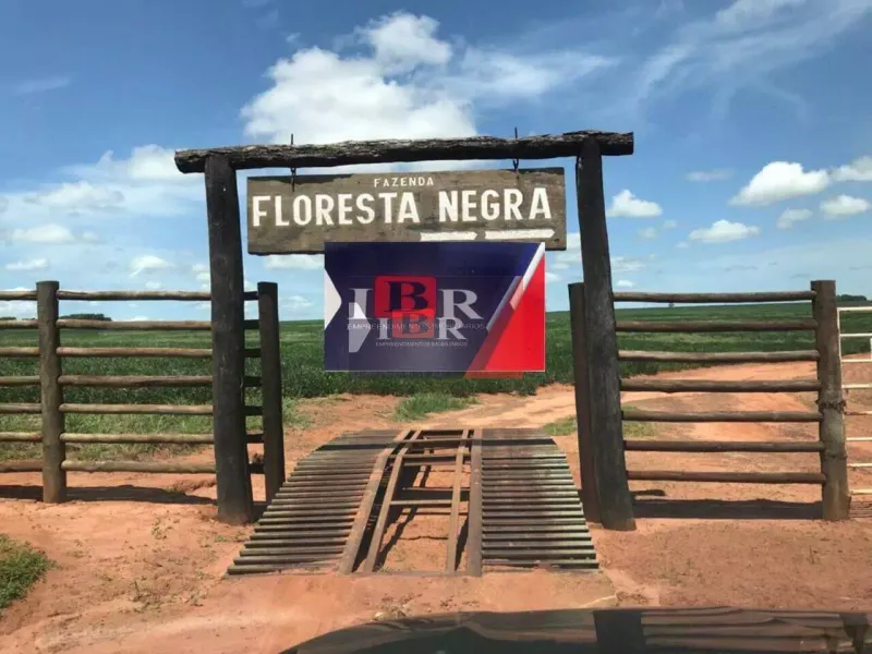 Chãozão - O Maior Portal de Anúncios de Imóveis Rurais do Brasil.