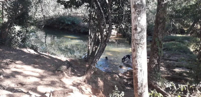 Chãozão - O Maior Portal de Anúncios de Imóveis Rurais do Brasil.