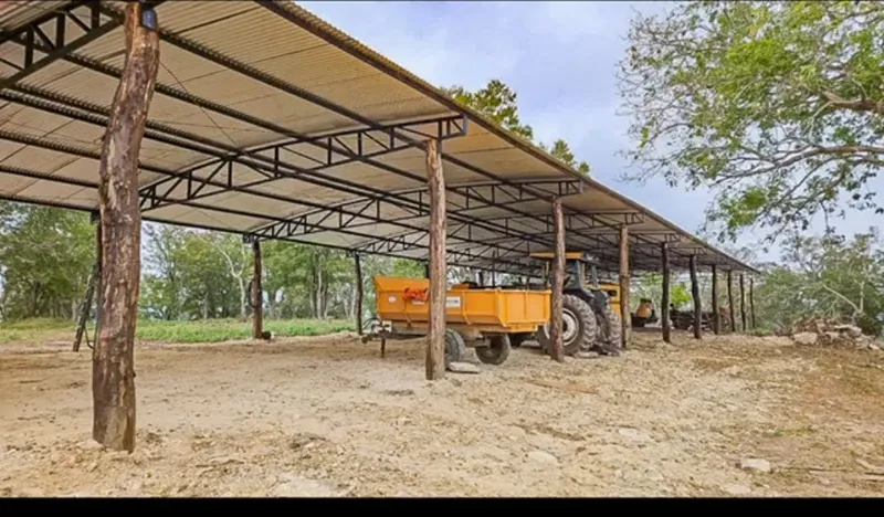 Fazenda em Corumbá/Mato Grosso do Sul — Ref KGK5ZA — Imagem 4