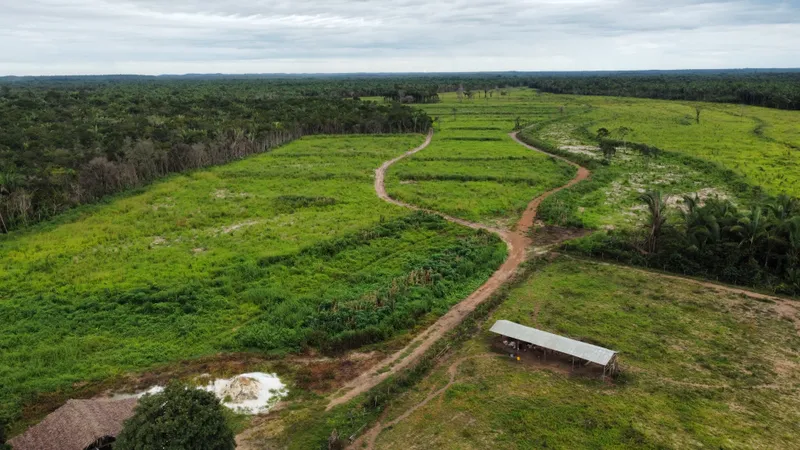 Fazenda em Cantanhede/Maranhão — Ref QLAKV8 — Imagem 4