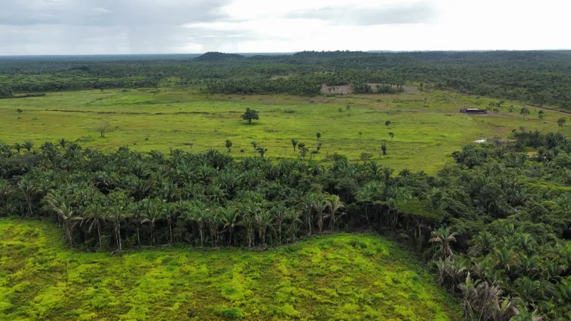 Fazenda em Cantanhede/Maranhão — Ref QLAKV8 — Imagem 5