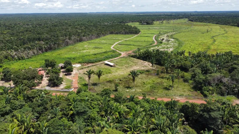 Fazenda em Cantanhede/Maranhão — Ref QLAKV8 — Imagem 1
