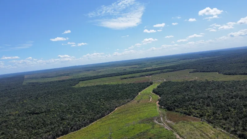 Fazenda em Cantanhede/Maranhão — Ref QLAKV8 — Imagem 7
