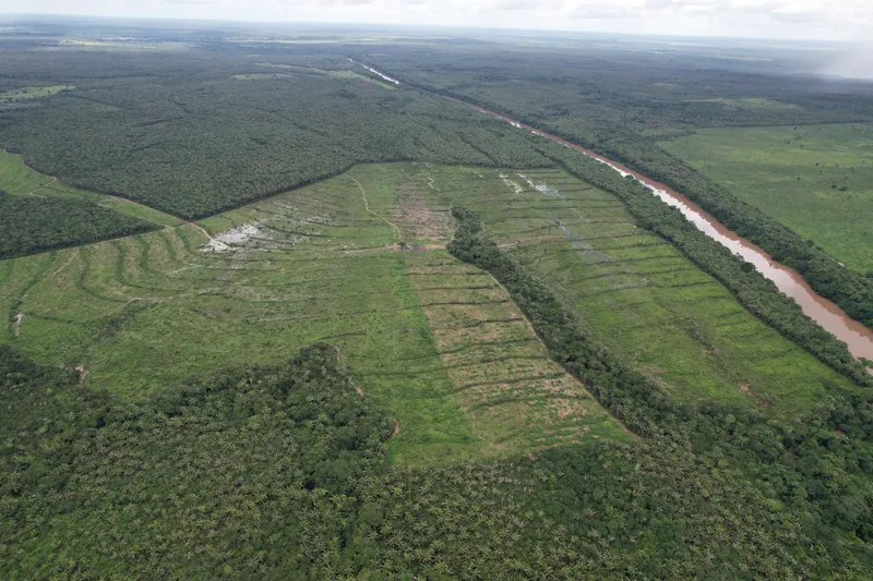 Fazenda em Cantanhede/Maranhão — Ref QLAKV8 — Imagem 11