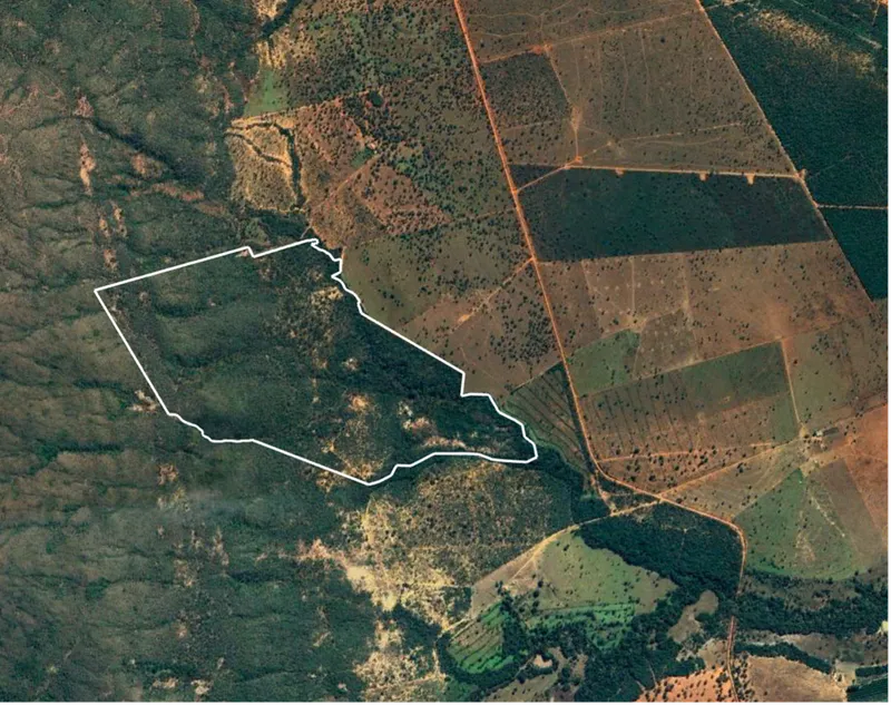 Fazenda em Arinos/Minas Gerais — Ref GP7BY6 — Imagem 4