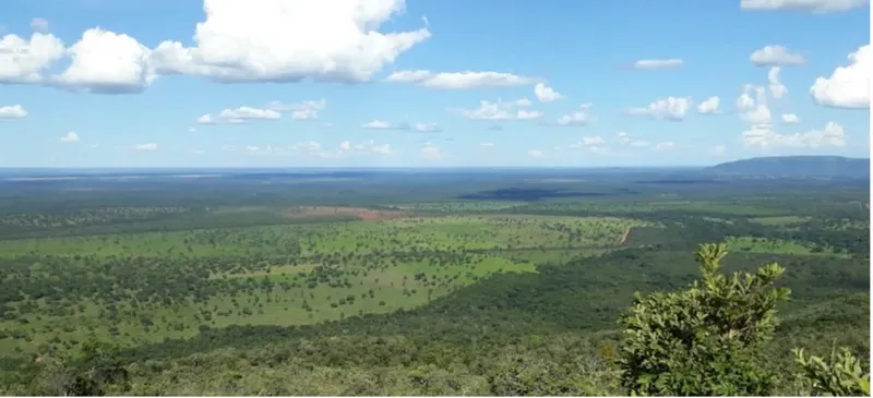 Fazenda em Arinos/Minas Gerais — Ref GP7BY6 — Imagem 2