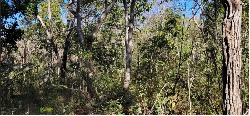 Fazenda em Arinos/Minas Gerais — Ref GP7BY6 — Imagem 7