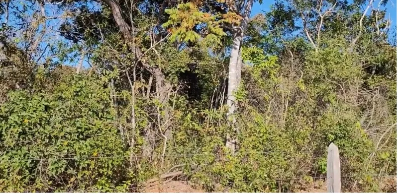 Fazenda em Arinos/Minas Gerais — Ref GP7BY6 — Imagem 9