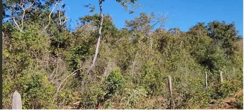 Fazenda em Arinos/Minas Gerais — Ref GP7BY6 — Imagem 10