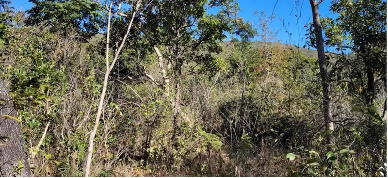 Fazenda em Arinos/Minas Gerais — Ref GP7BY6 — Imagem 12