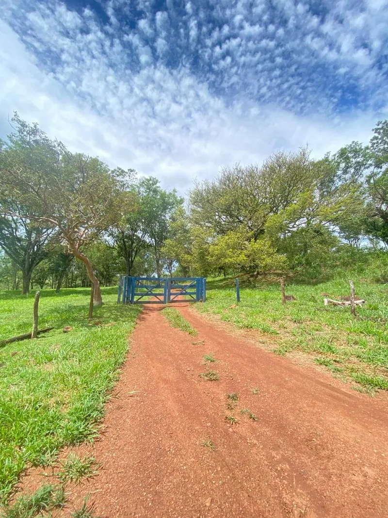 Sítio em Veríssimo/Minas Gerais — Ref VPF523 — Imagem 7