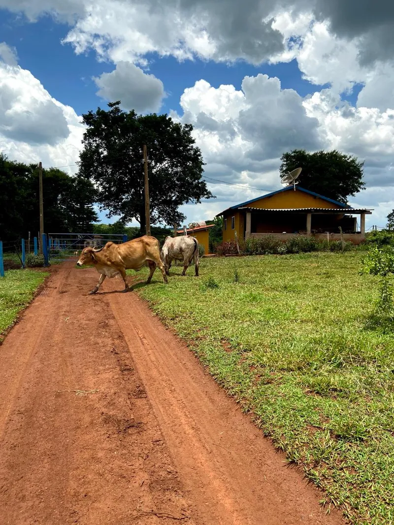 Sítio em Veríssimo/Minas Gerais — Ref VPF523 — Imagem 1