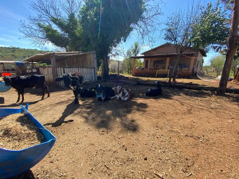 Sítio em Veríssimo/Minas Gerais — Ref VPF523 — Imagem 2