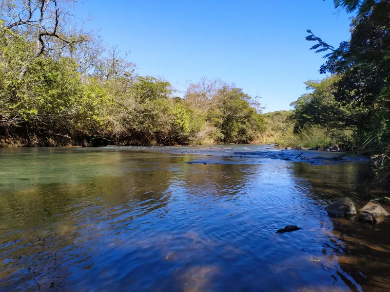 Sítio em Veríssimo/Minas Gerais — Ref VPF523 — Imagem 12