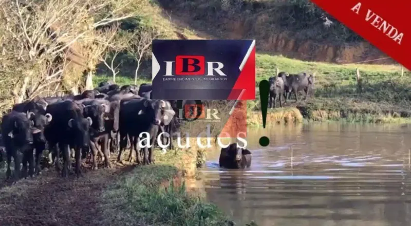 Fazenda em Iguape/São Paulo — Ref HYV03G — Imagem 2