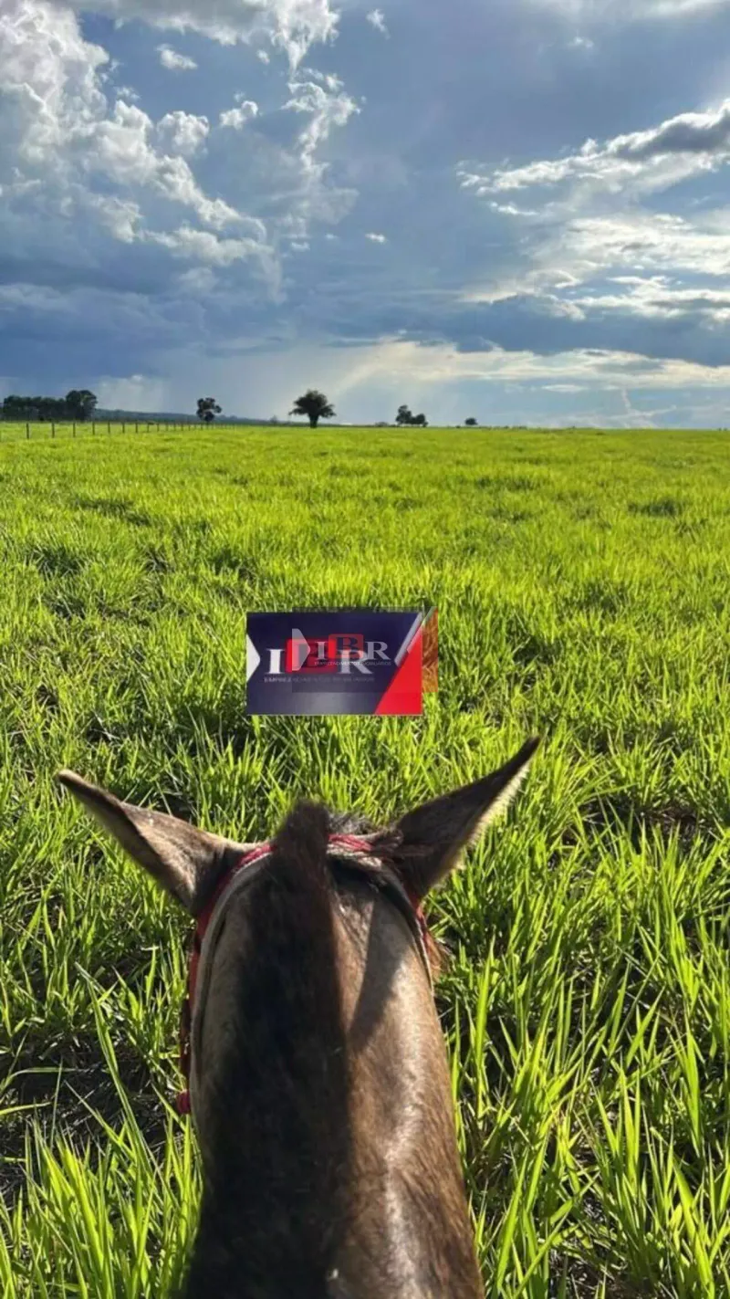 Fazenda em Reserva do Cabaçal/Mato Grosso — Ref OZGKCM — Imagem 3
