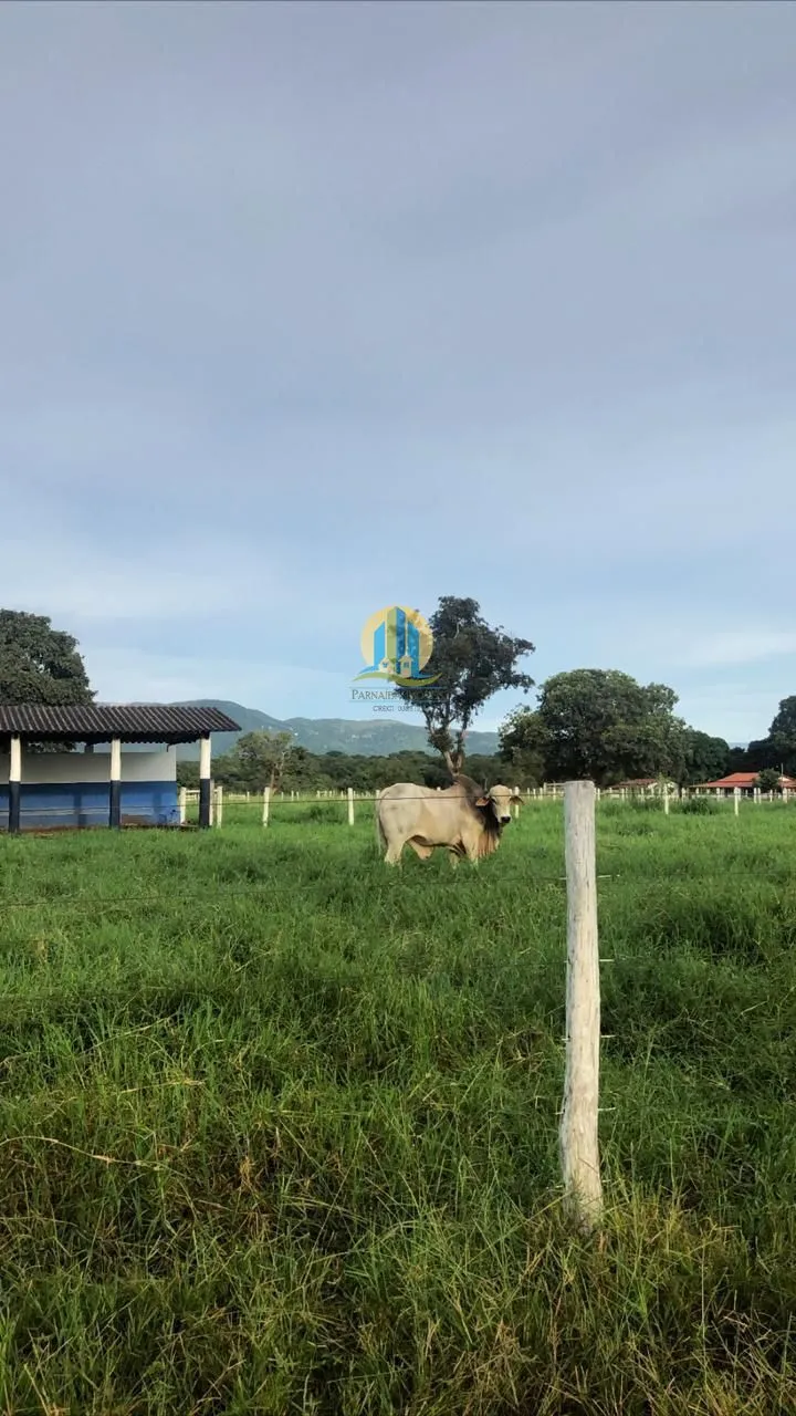 Fazenda em Formosa/Goiás — Ref CJFUB0 — Imagem 3