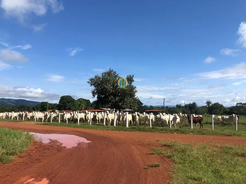 Fazenda em Formosa/Goiás — Ref CJFUB0 — Imagem 2