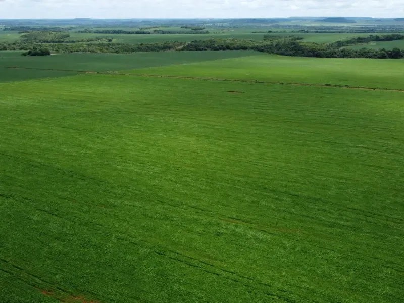 Imóvel rural em Água Boa/Mato Grosso — Ref HV137D1