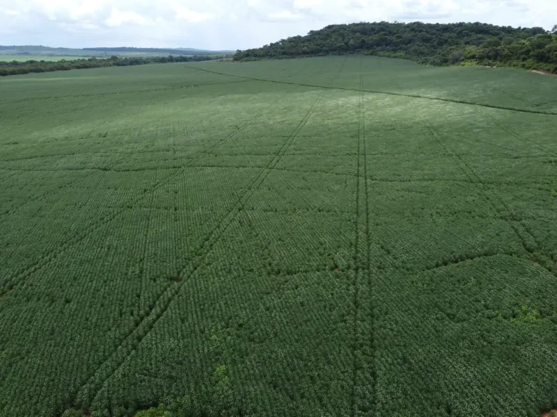 Fazenda em Água Boa/Mato Grosso — Ref HV137D — Imagem 3