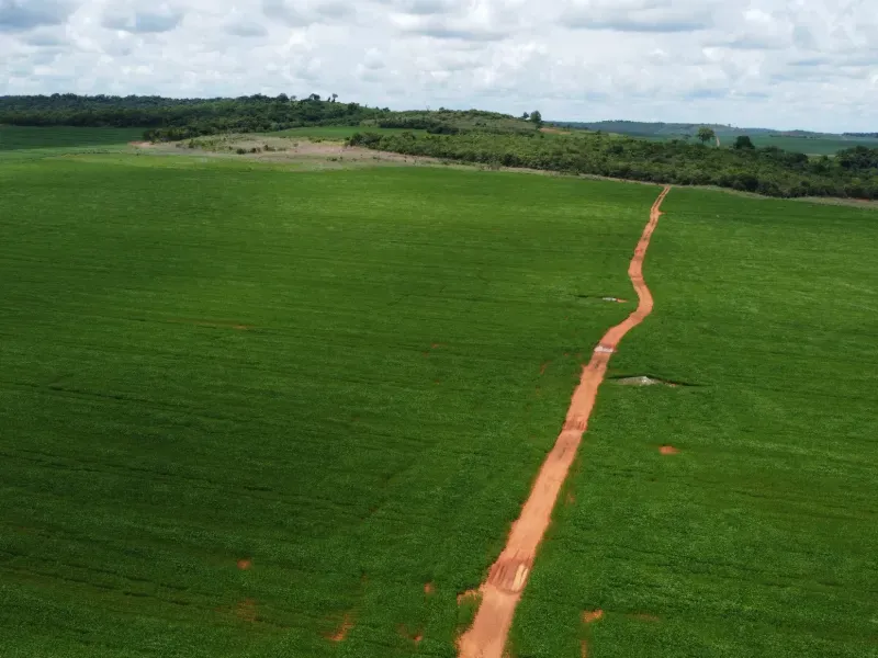 Fazenda em Água Boa/Mato Grosso — Ref HV137D — Imagem 4