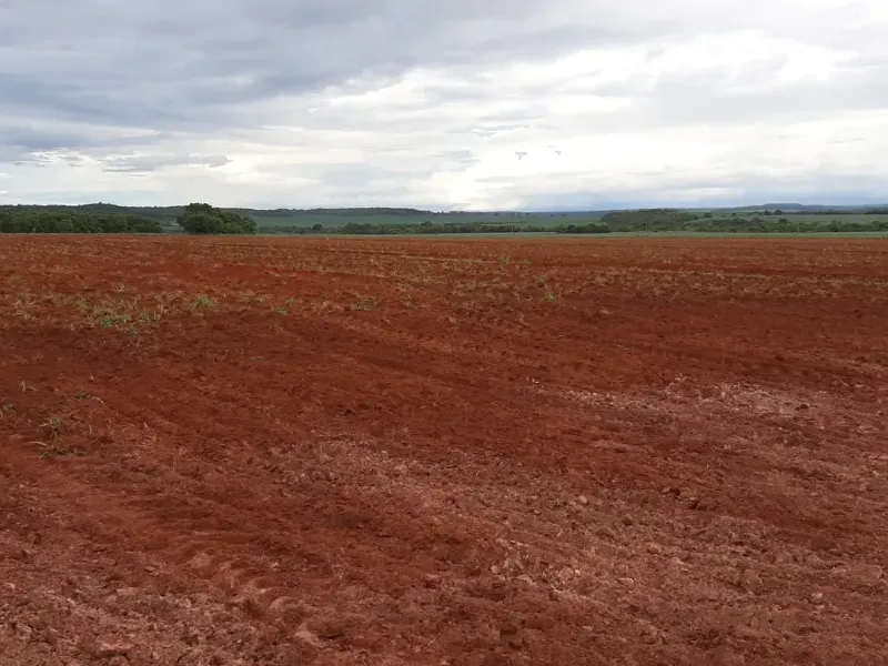 Fazenda em Água Boa/Mato Grosso — Ref HV137D — Imagem 5