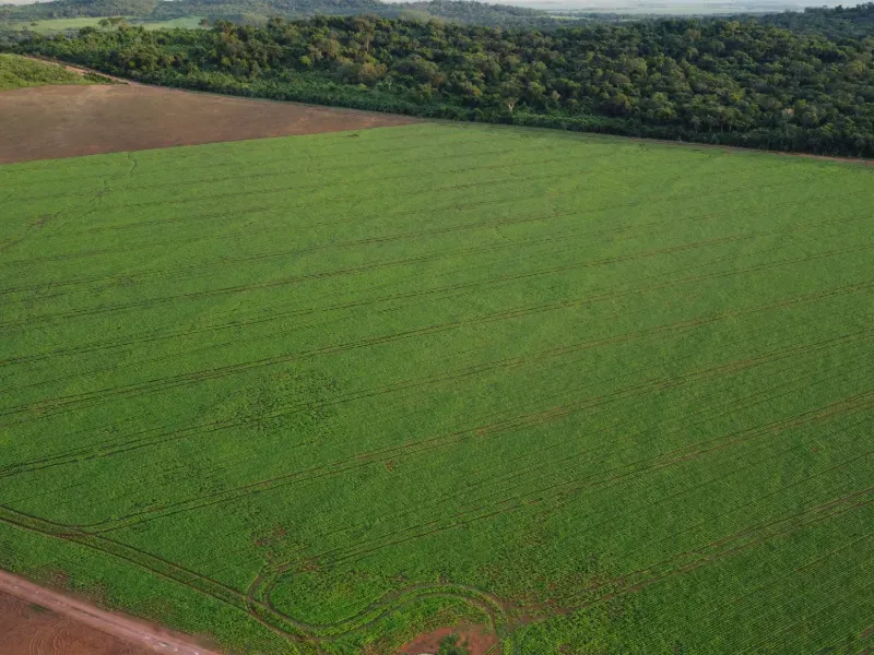 Fazenda em Água Boa/Mato Grosso — Ref HV137D — Imagem 8