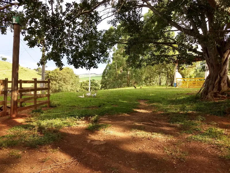 Fazenda em Aiuruoca/Minas Gerais — Ref JGSSQU — Imagem 5