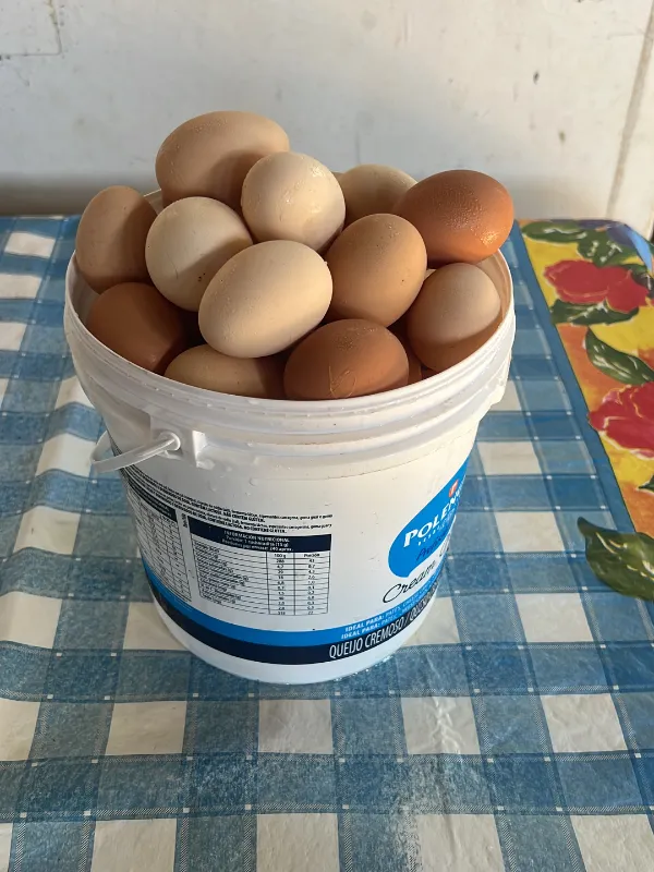 Fazenda em Aiuruoca/Minas Gerais — Ref JGSSQU — Imagem 7