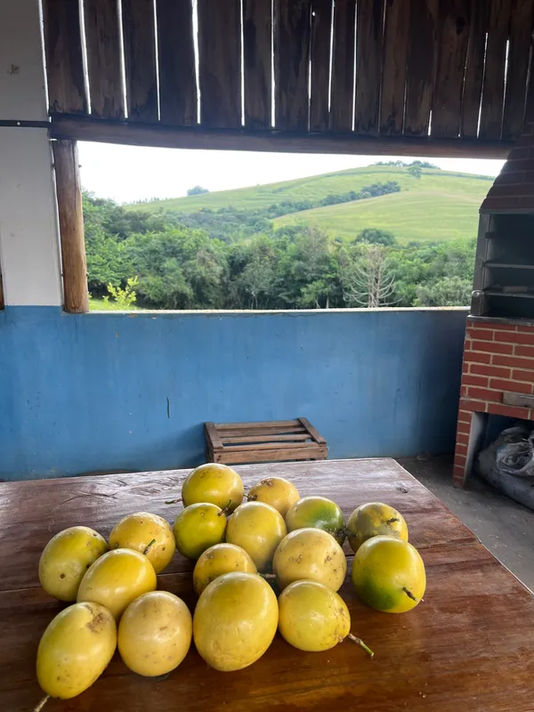 Fazenda em Aiuruoca/Minas Gerais — Ref JGSSQU — Imagem 11