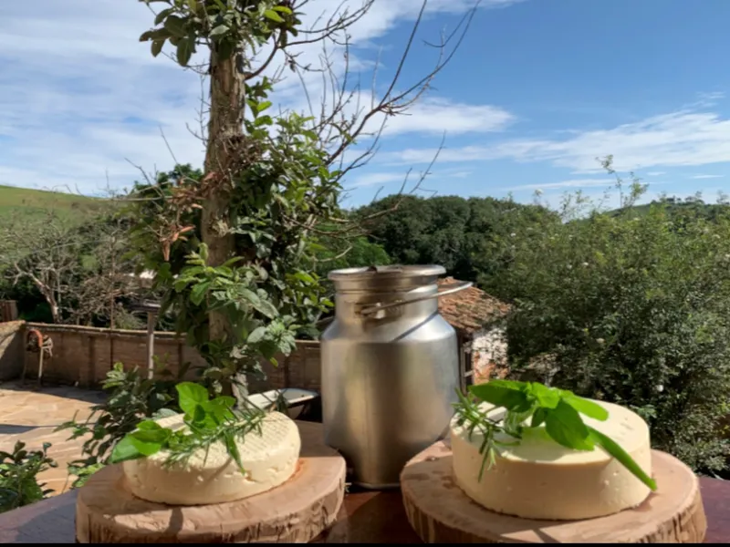 Fazenda em Aiuruoca/Minas Gerais — Ref JGSSQU — Imagem 16