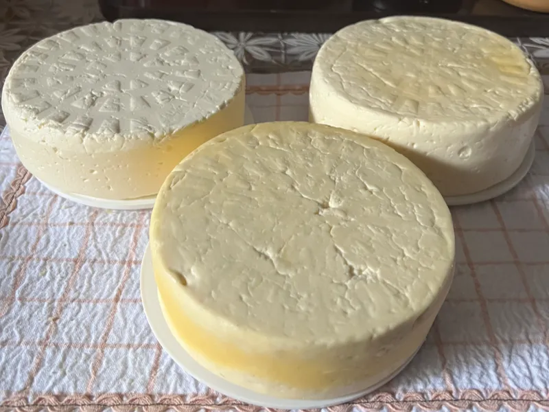 Fazenda em Aiuruoca/Minas Gerais — Ref JGSSQU — Imagem 17